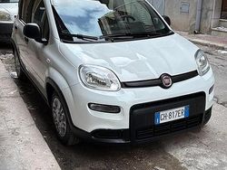 Bianco Usata 2021 Fiat Panda City Life Tre volumi | 8800 € (Buon prezzo)