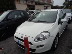 Bianco Usata 2013 Fiat Punto Lounge Due volumi | 3900 € (Buon prezzo)