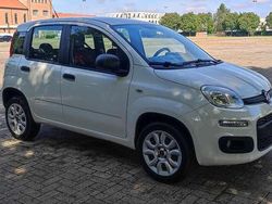 Bianco Usata 2016 Fiat Panda Pop Due volumi | 6500 € (Buon prezzo)