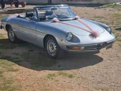 Usata 1972 Alfa Romeo Spider Cabrio | 23.000 €