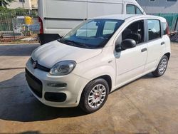 Bianco Usata 2015 Fiat Panda Easy Tre volumi | 7400 € (Buon prezzo)