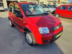 Rosso Usata 2006 Fiat Panda 4x4 Due volumi | 5500 € (Cara)