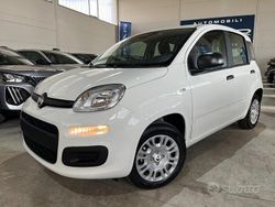 Bianco Nuova 2025 Fiat Panda Icon Due volumi | 11.990 €