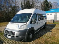 Bianco Usata 2008 Fiat Ducato Furgone | 7900 €