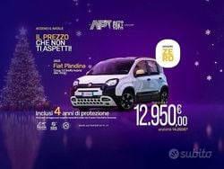 Verde Usata 2025 Fiat Panda Cross Cross Due volumi | 12.950 € (Ottimo prezzo)