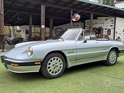 Grigio Usata 1987 Alfa Romeo Spider Quadrifoglio Verde Cabrio | 20.000 €
