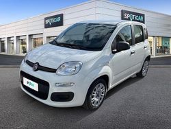 Bianco Usata 2021 Fiat Panda S Due volumi | 10.750 € (Buon prezzo)
