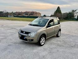 Marrone Usata 2009 Fiat Panda Cross Cross Due volumi | 4900 € (Super prezzo)