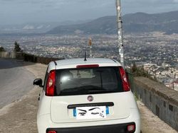 Bianco Usata 2016 Fiat Panda Due volumi | 6000 € (Buon prezzo)