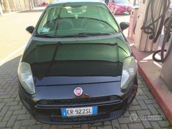 Nero Usata 2013 Fiat Punto Due volumi | 5500 € (Buon prezzo)