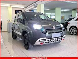 Verde Usata 2020 Fiat Panda Cross Cross Due volumi | 15.600 € (Cara)