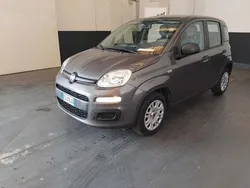 Grigio Usata 2019 Fiat Panda Easy Due volumi | 9490 € (Buon prezzo)