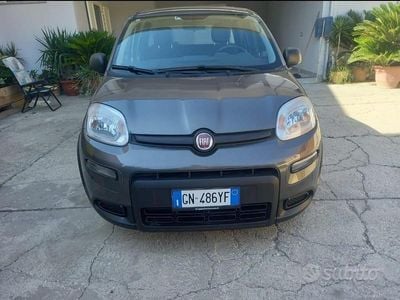 Usata Fiat Panda 70 CV (51 kW) 2023 Grigio Utilitaria