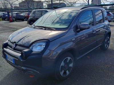 usata Fiat Panda Cross 1.0 firefly hybrid City s