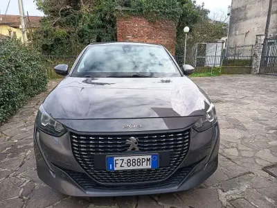 Gebraucht Peugeot 208 Active 75 PS (55 kW) 2020 Grau Kleinwagen