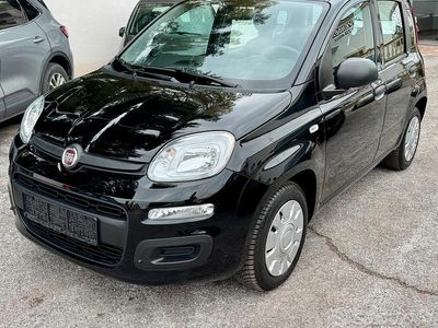 Usata Fiat Panda Easy 69 CV (50 kW) 2019 Nero Utilitaria