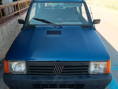 Usata Fiat Panda 4x4 54 CV (39 kW) 2000 Utilitaria
