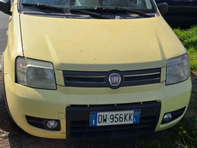 Usata Fiat Panda 60 CV (44 kW) 2009 Giallo Utilitaria