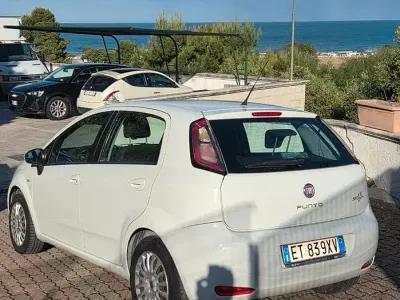 Usata Fiat Punto 90 CV (66 kW) 2014 Bianco Utilitaria