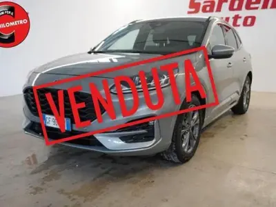 Usata Ford Kuga ST-Line 150 CV (110 kW) 2021 Grigio SUV