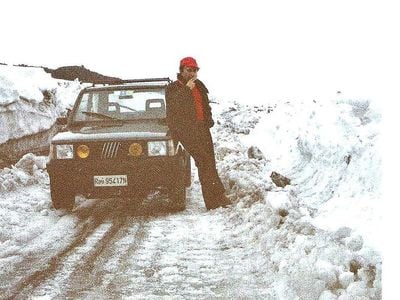 Usata Fiat Panda 4x4 50 CV (36 kW) 1987 Verde Utilitaria