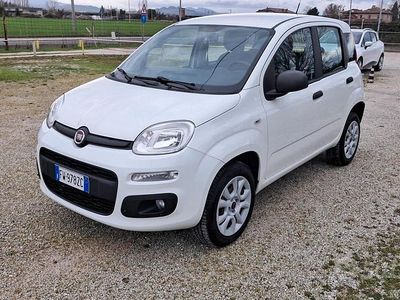 Usata Fiat Panda Easy 84 CV (61 kW) 2019 Bianco Berlina