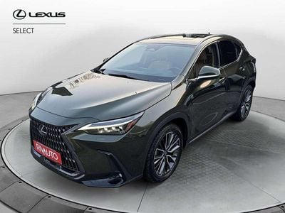 Usata Lexus NX300h Luxury Line 309 CV (227 kW) 2022 Verde SUV