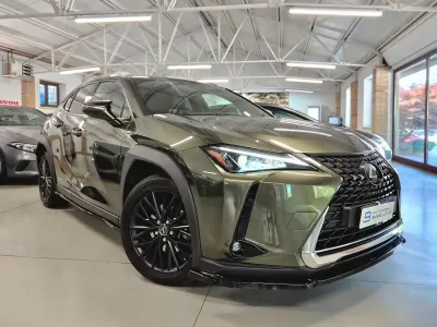 Usata Lexus UX Business Edition 152 CV (111 kW) 2019 Verde SUV