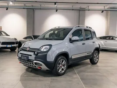 Usata Fiat Panda Cross Cross 84 CV (61 kW) 2019 Grigio Utilitaria