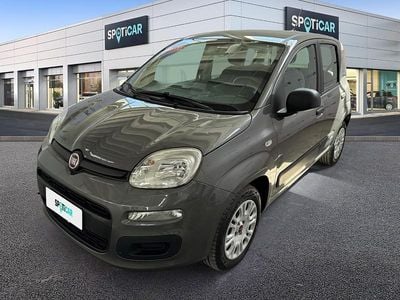 Begagnad Fiat Panda Easy 69 HK (50 kW) 2019 Svart Halvkombi