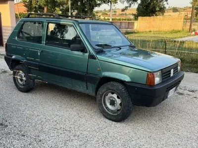 Usata Fiat Panda 4x4 Trekking 54 CV (39 kW) 2001 Utilitaria