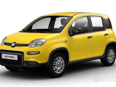 Usata Fiat Panda 69 CV (50 kW) 2024 Giallo Utilitaria
