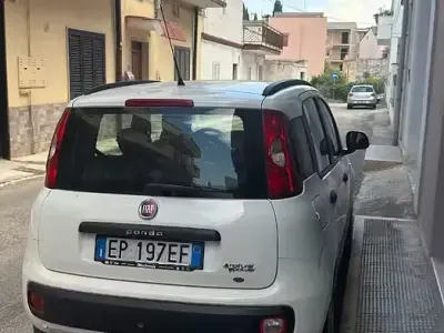 Usata Fiat Panda 85 CV (62 kW) 2013 Bianco Utilitaria