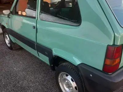 Usata Fiat Panda 4x4 Trekking 54 CV (39 kW) 2002 Verde Utilitaria