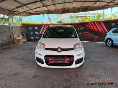Usata Fiat Panda Easy 95 CV (69 kW) 2016 Bianco Utilitaria