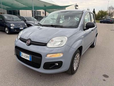 Usata Fiat Panda Easy 69 CV (50 kW) 2020 Grigio Utilitaria
