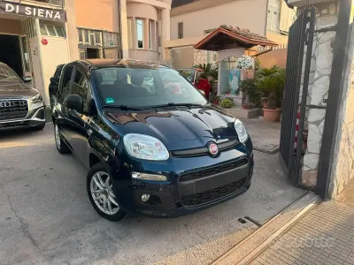 Usata Fiat Panda Easy 69 CV (50 kW) 2017 Bluazzurro Utilitaria
