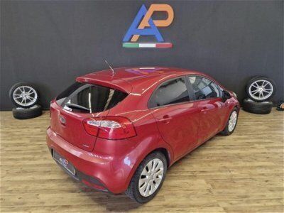 usata Kia Rio 1.2 CVVT 5p. EX PLUS usato