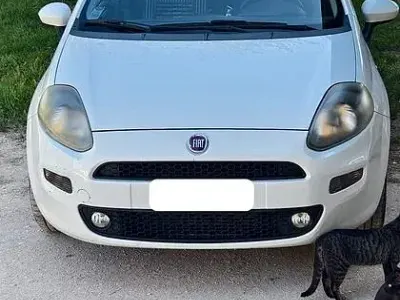 Usata Fiat Grande Punto 65 CV (47 kW) 2017 Bianco Utilitaria