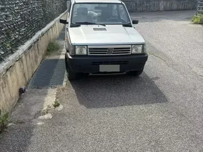 Usata Fiat Panda 4x4 50 CV (36 kW) 1996 Utilitaria