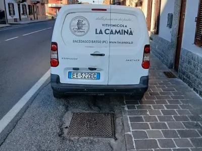 Usata Peugeot Partner