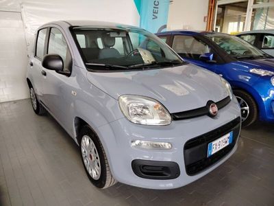 usata Fiat Panda 1.2 Easy