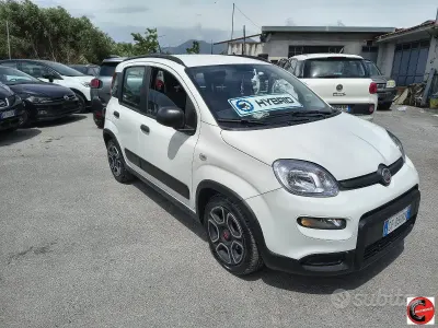 Usata Fiat Panda City Life 68 CV (50 kW) 2021 Utilitaria
