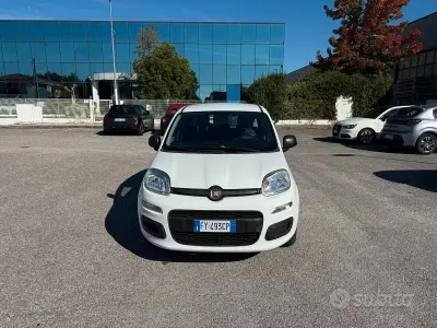 Usata Fiat Panda Easy 69 CV (50 kW) 2019 Bianco Utilitaria
