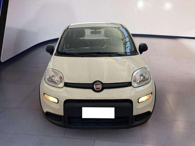 Usata Fiat Panda S 69 CV (50 kW) 2023 Bianco Utilitaria