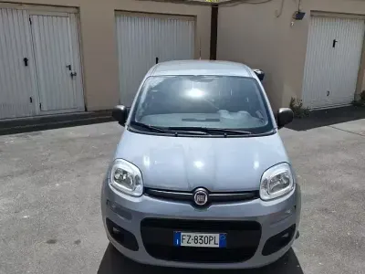 Usata Fiat Panda Easy 69 CV (50 kW) 2020 Grigio Utilitaria