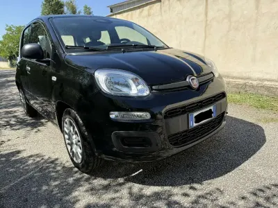 Usata Fiat Panda S 69 CV (50 kW) 2025 Utilitaria
