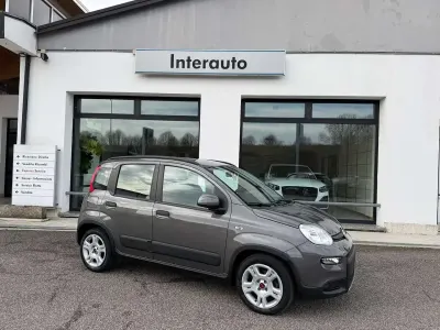Usata Fiat Panda S 69 CV (50 kW) 2023 Grigio Utilitaria