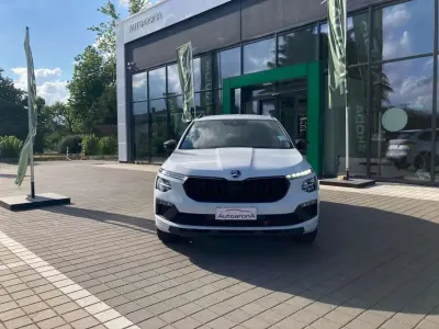 Usata Skoda Kamiq