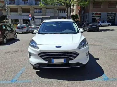 Usata Ford Kuga Business Edition 120 CV (88 kW) 2021 Bianco SUV